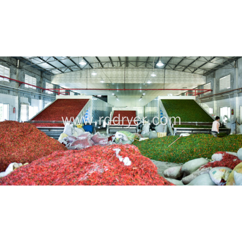 Hot pepper dryer color quality and energy saving